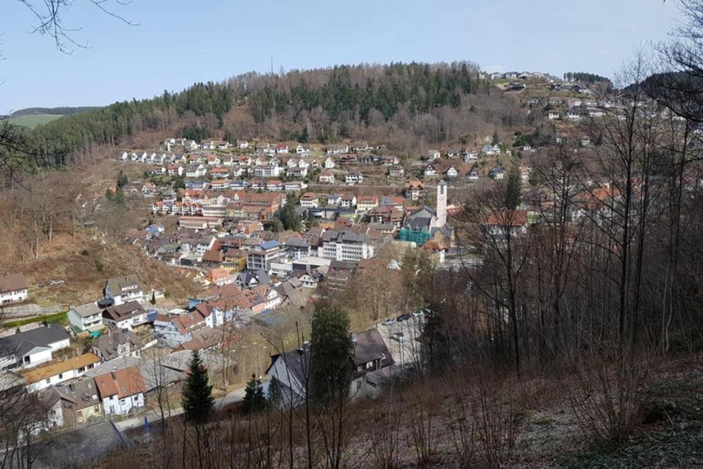 2 Rooms Apartment In Triberg Triberg im Schwarzwald Buitenkant foto